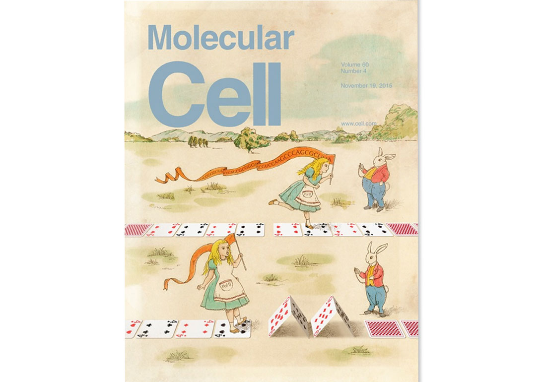 論文雑誌 Molecular Cell の表紙デザイン 株式会社スペースタイム 論文雑誌 Molecular Cell の表紙デザイン 株式会社スペースタイム